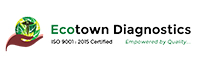 Ecotown Diagnostics: Accurate Diagnosis at Patient’s Convenience